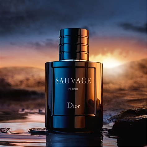 dior sauvage elixir walmart|dior sauvage elixir 60ml price.